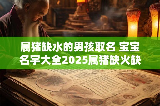 属猪缺水的男孩取名 宝宝名字大全2025属猪缺火缺水