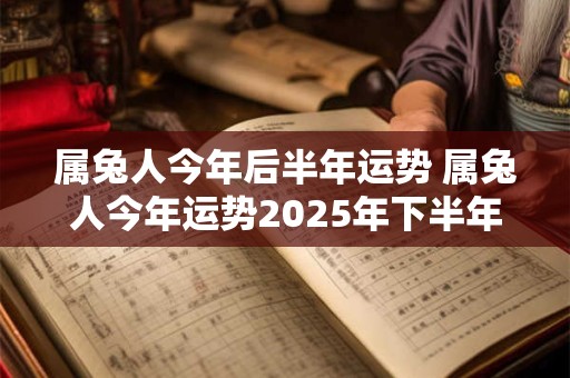 属兔人今年后半年运势 属兔人今年运势2025年下半年运势