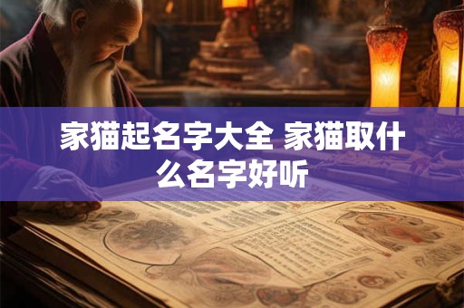 家猫起名字大全 家猫取什么名字好听