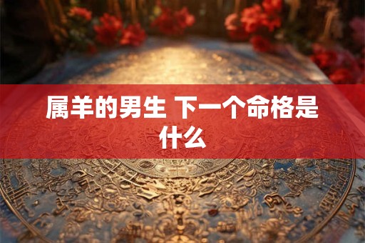 属羊的男生 下一个命格是什么