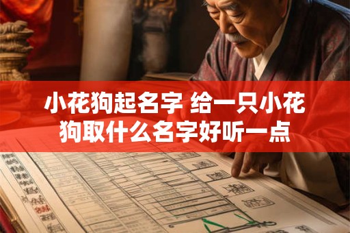 小花狗起名字 给一只小花狗取什么名字好听一点