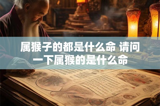 属猴子的都是什么命 请问一下属猴的是什么命
