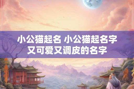 小公猫起名 小公猫起名字又可爱又调皮的名字