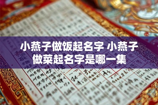 小燕子做饭起名字 小燕子做菜起名字是哪一集