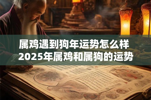 属鸡遇到狗年运势怎么样 2025年属鸡和属狗的运势