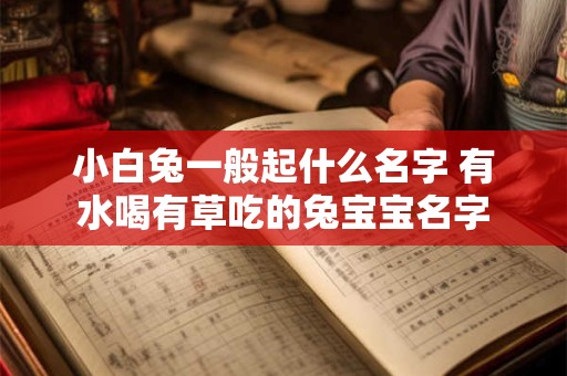 小白兔一般起什么名字 有水喝有草吃的兔宝宝名字