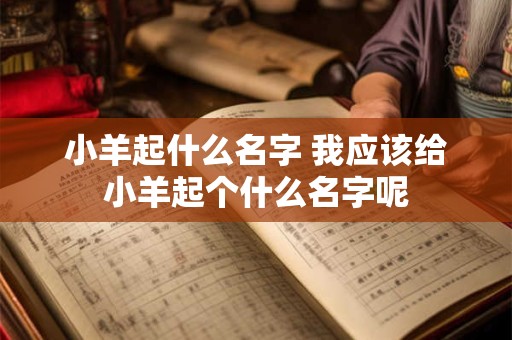 小羊起什么名字 我应该给小羊起个什么名字呢