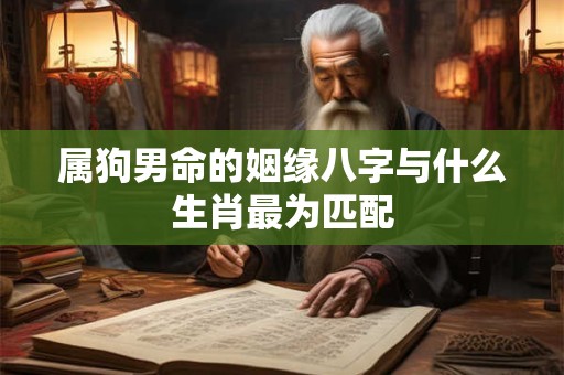 属狗男命的姻缘八字与什么生肖最为匹配