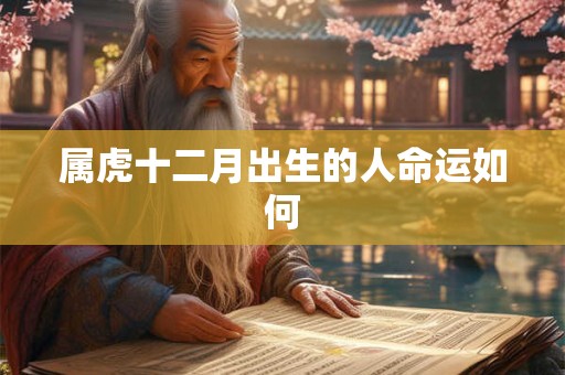 属虎十二月出生的人命运如何