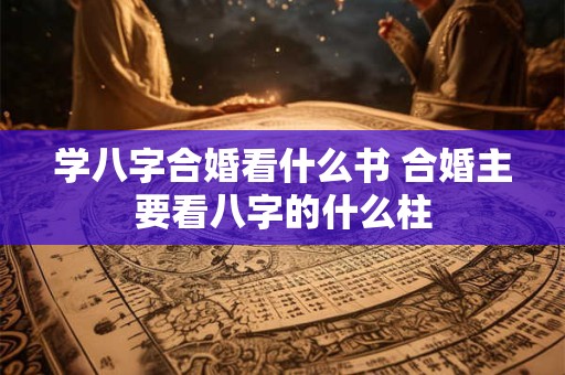 学八字合婚看什么书 合婚主要看八字的什么柱