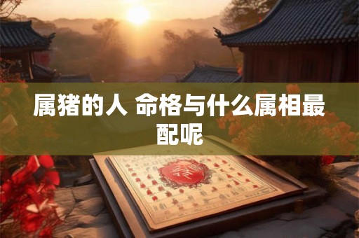 属猪的人 命格与什么属相最配呢