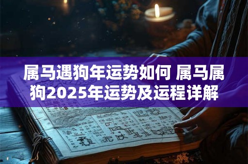 属马遇狗年运势如何 属马属狗2026年运势及运程详解