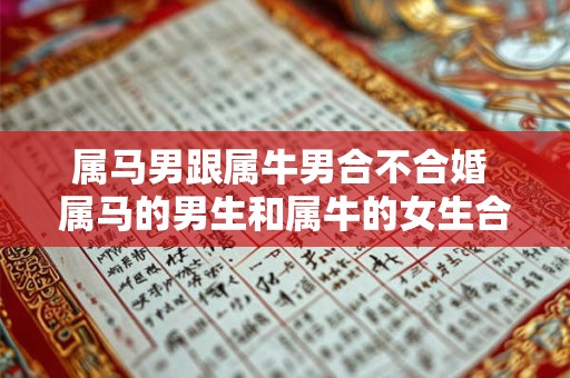 属马男跟属牛男合不合婚 属马的男生和属牛的女生合不合 属马男跟属牛男合不合婚 属马的男生和属牛的女生合不合