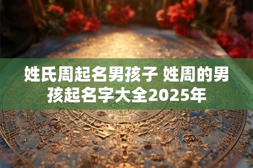 姓氏周起名男孩子 姓周的男孩起名字大全2025年