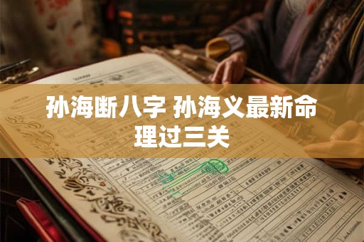 孙海断八字 孙海义最新命理过三关