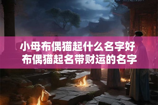 小母布偶猫起什么名字好 布偶猫起名带财运的名字 小母布偶猫起什么名字好 布偶猫起名带财运的名字