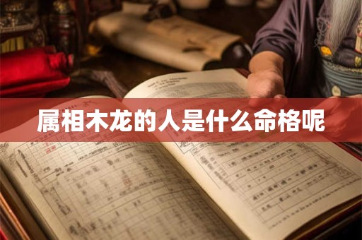 属相木龙的人是什么命格呢