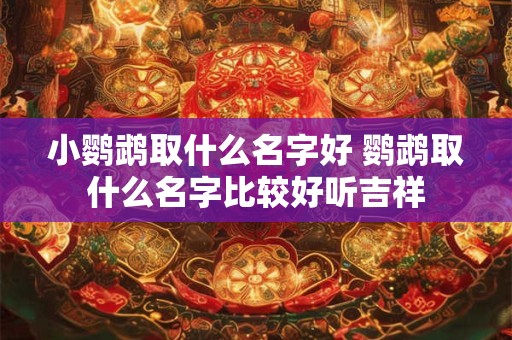 小鹦鹉取什么名字好 鹦鹉取什么名字比较好听吉祥