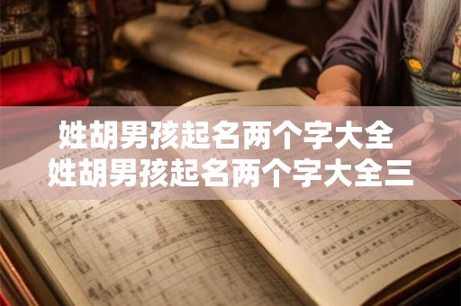 姓胡男孩起名两个字大全 姓胡男孩起名两个字大全三个字