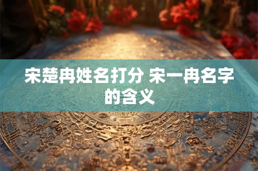宋楚冉姓名打分 宋一冉名字的含义