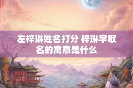左梓琳姓名打分 梓琳字取名的寓意是什么