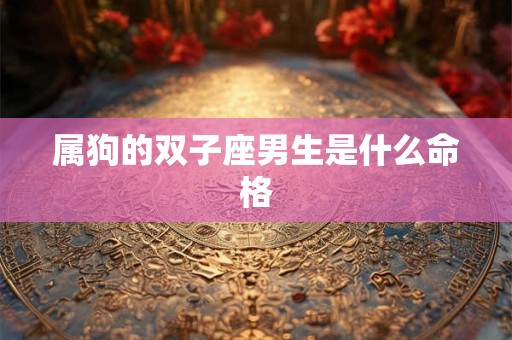 属狗的双子座男生是什么命格