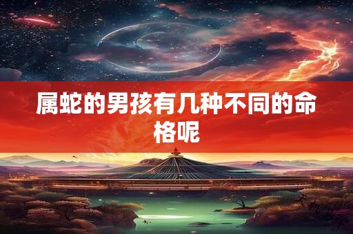 属蛇的男孩有几种不同的命格呢