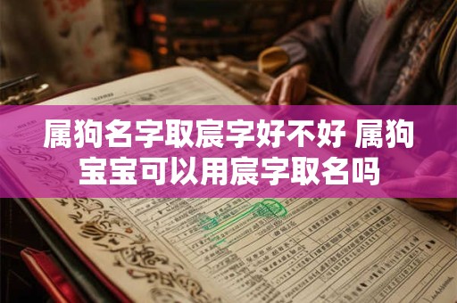属狗名字取宸字好不好 属狗宝宝可以用宸字取名吗