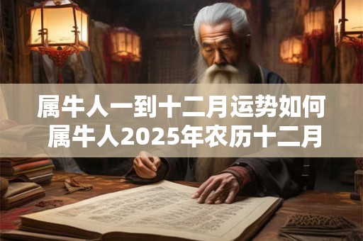 属牛人一到十二月运势如何 属牛人2025年农历十二月运势