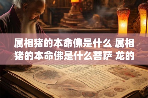 属相猪的本命佛是什么 属相猪的本命佛是什么菩萨 龙的龙头p 属龙的阿弥陀佛