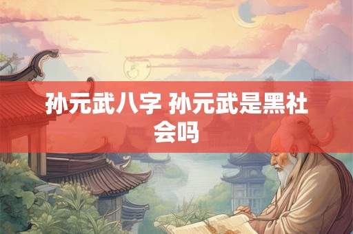 孙元武八字 孙元武是黑社会吗