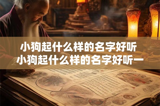 小狗起什么样的名字好听 小狗起什么样的名字好听一点