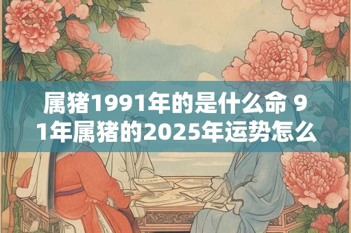 属猪1991年的是什么命 91年属猪的2025年运势怎么样
