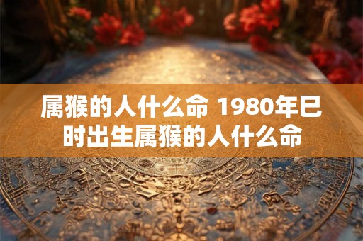 属猴的人什么命 1980年巳时出生属猴的人什么命 属猴的人什么命 1980年巳时出生属猴的人什么命