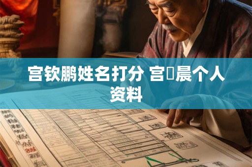 宫钦鹏姓名打分 宫瑀晨个人资料