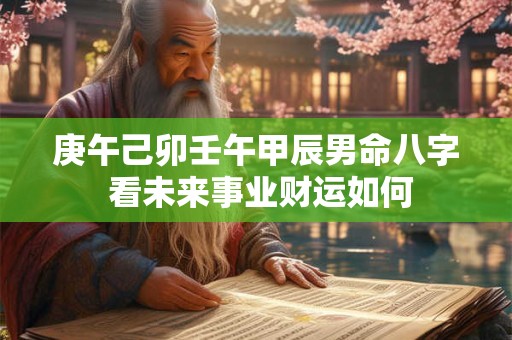 庚午己卯壬午甲辰男命八字 看未来事业财运如何