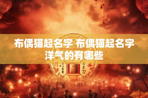 布偶猫起名字 布偶猫起名字洋气的有哪些