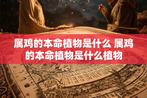 属鸡的本命植物是什么 属鸡的本命植物是什么植物