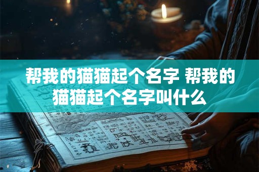 帮我的猫猫起个名字 帮我的猫猫起个名字叫什么