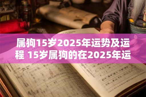 属狗15岁2026年运势及运程 15岁属狗的在2026年运势如何读书怎样
