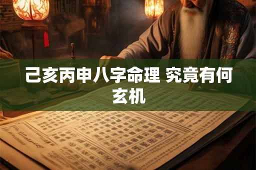 己亥丙申八字命理 究竟有何玄机