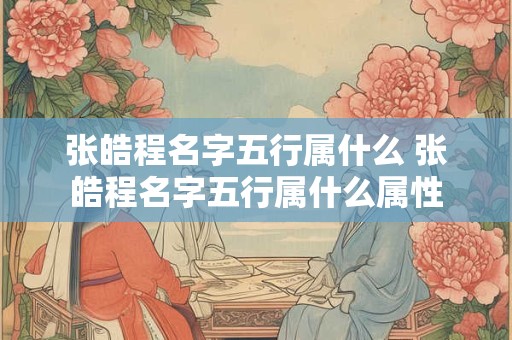 张皓程名字五行属什么 张皓程名字五行属什么属性 张皓程名字五行属什么 张皓程名字五行属什么属性