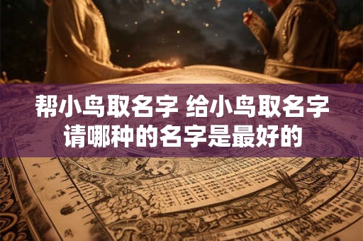 详细阅读:帮小鸟取名字 给小鸟取名字请哪种的名字是最好的 帮小鸟取名字 给小鸟取名字请哪种的名字是最好的