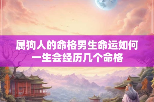 属狗人的命格男生命运如何一生会经历几个命格