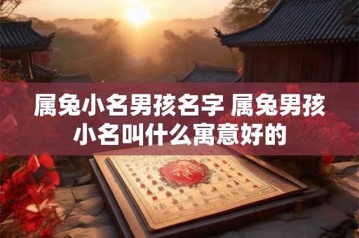 属兔小名男孩名字 属兔男孩小名叫什么寓意好的