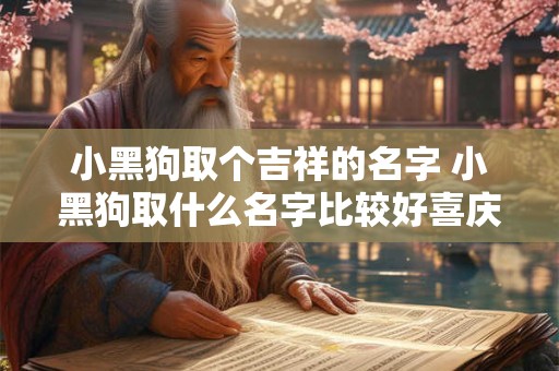 小黑狗取个吉祥的名字 小黑狗取什么名字比较好喜庆