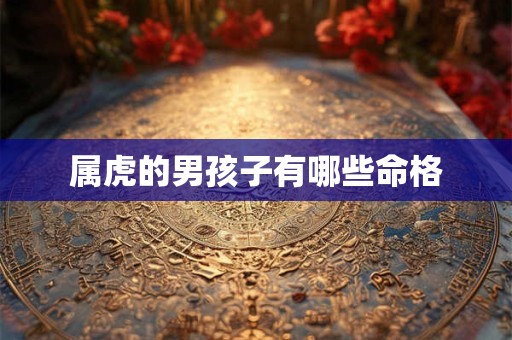 属虎的男孩子有哪些命格