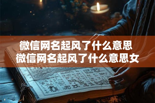 微信网名起风了什么意思 微信网名起风了什么意思女生