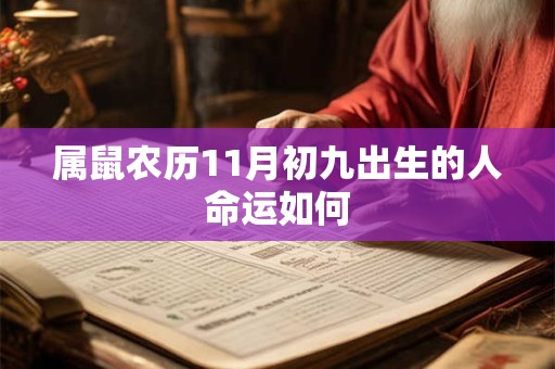 属鼠农历11月初九出生的人命运如何