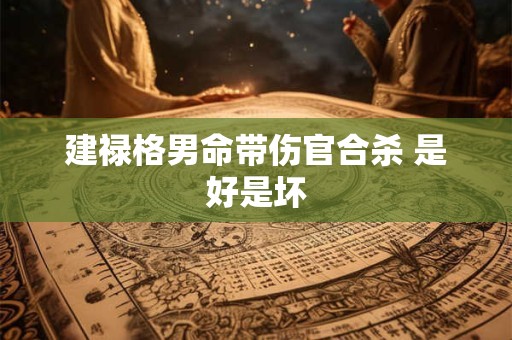 建禄格男命带伤官合杀 是好是坏